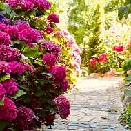 Eingang Garten Apfeltraum