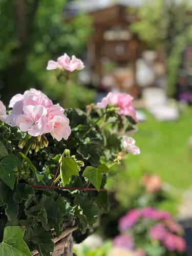 Ruhe pur - mitten im Garten