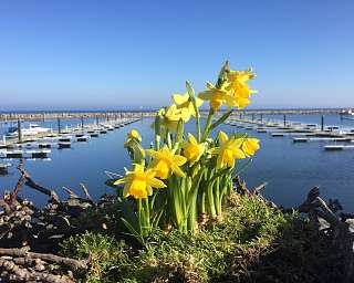 Ostern mit Meerblick Ostseebad Kühlungsborn