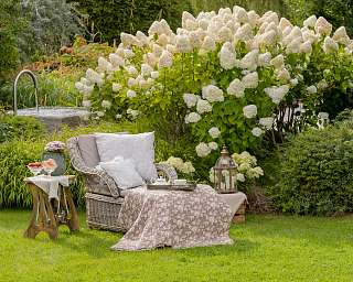 Reich der Ruhe der Garten