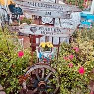 Fruehstueck individuell Fraeulein Honig in Sellin