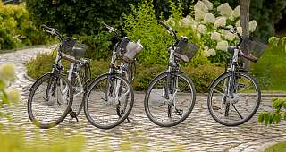 Seedorf 0252 Kopie WEB