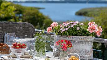 1.Seedorf 0748 Kopie