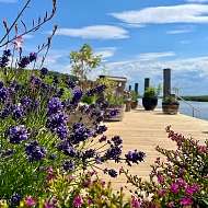 privater Badesteg auf Rügen im Weißt Du noch