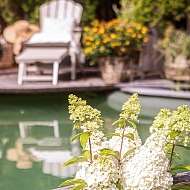 Naturpool im Garten SPA