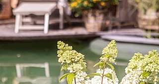 Naturpool im Garten SPA