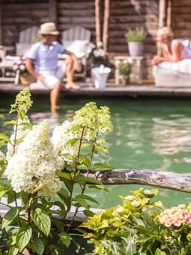 Ruhe pur im weisst du noch Garten SPA