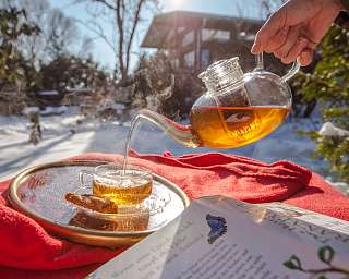 Weißt Du noch Garten im Frühling
