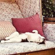 fullsizeoutput 838 Kopie