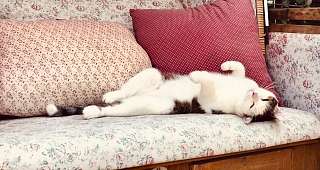 fullsizeoutput 838 Kopie